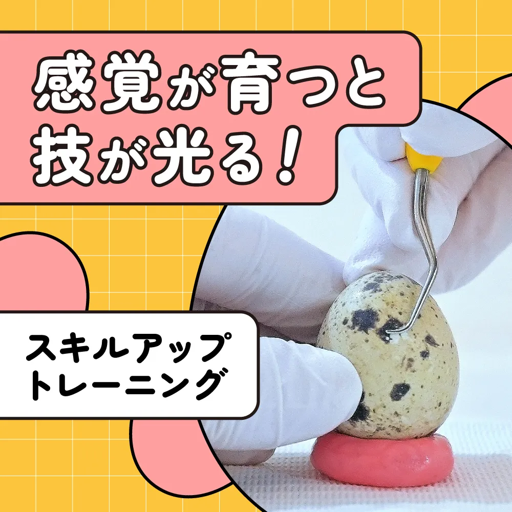 スキルアップトレーニング