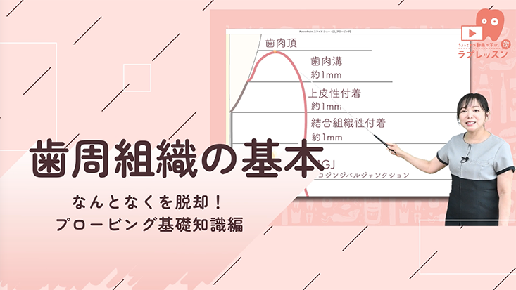 ☆なんとなくを脱却！プロービング基礎知識編 ☆01.歯周組織の基本