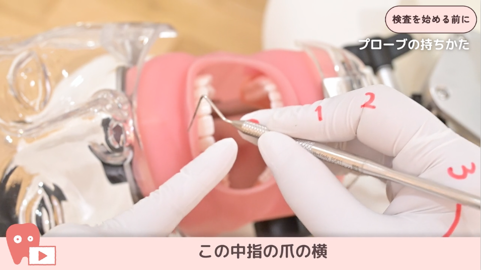 01.検査を始める前に -ミラーとプローブの持ち方-