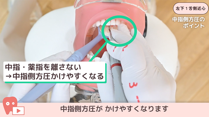 ☆08.左下１舌側近心